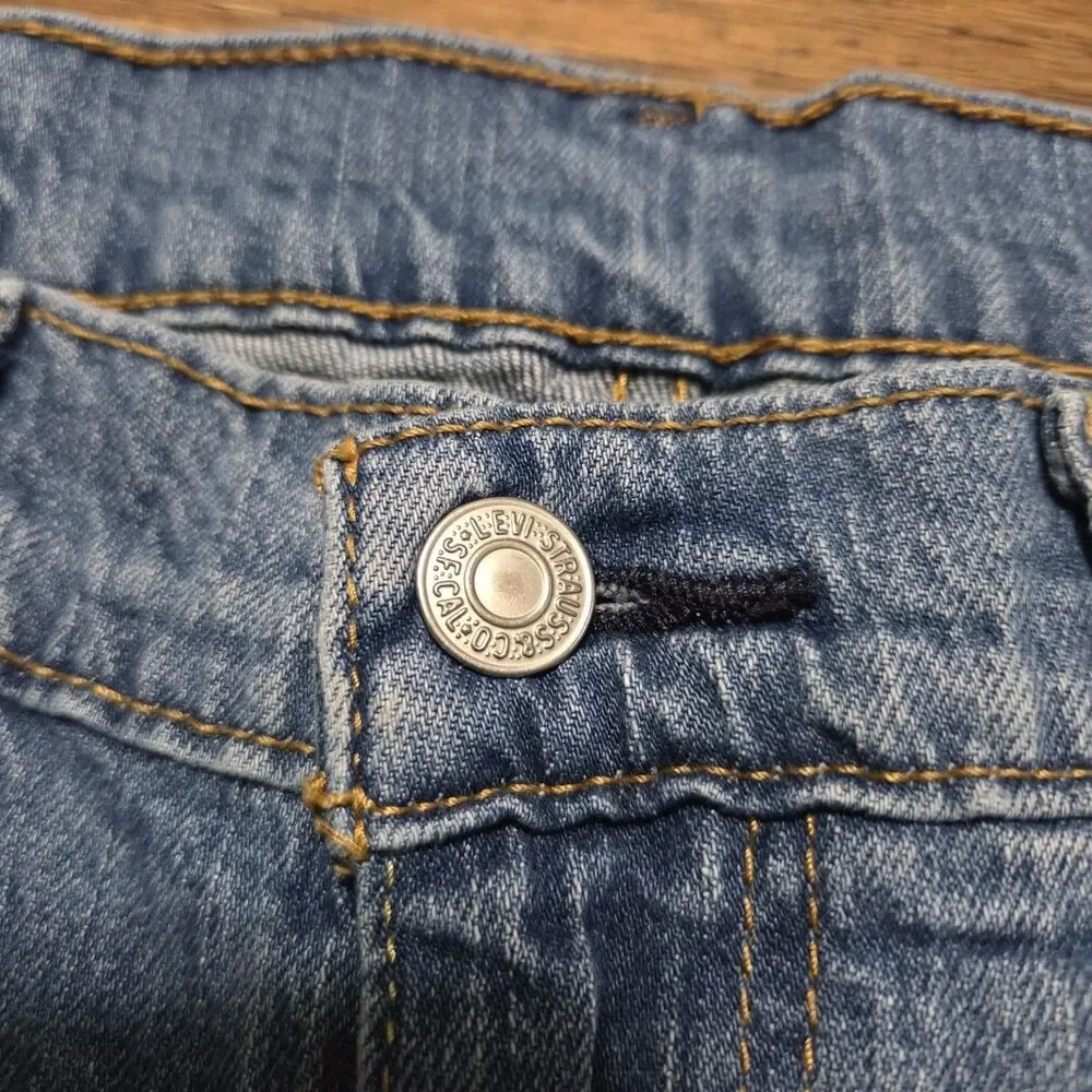 Levis levi 527